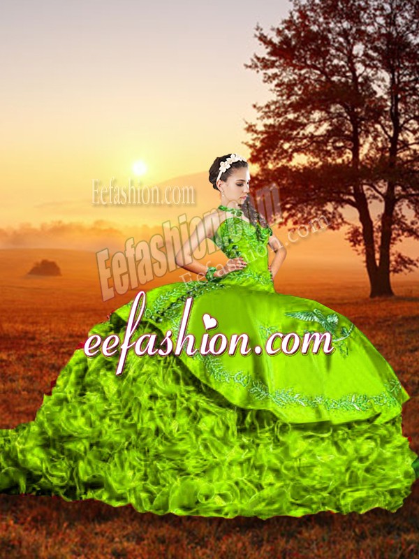 Glorious Sweetheart Sleeveless Brush Train Lace Up Quinceanera Dress Organza