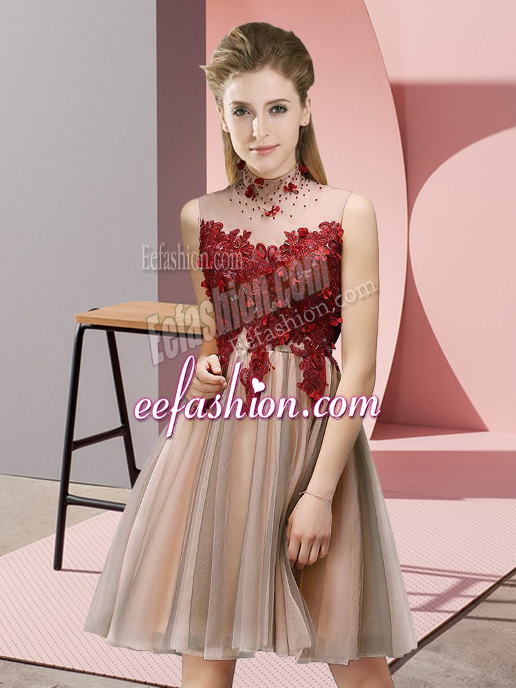 Pretty Knee Length Lace Up Quinceanera Dama Dress Pink for Prom and Party and Wedding Party with Appliques