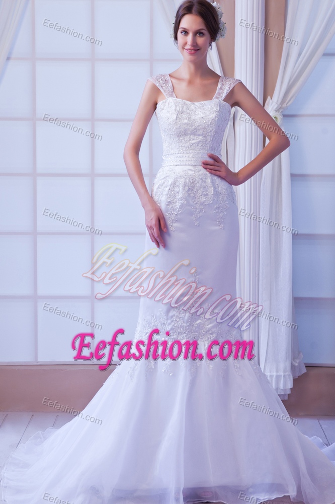 Memorable Appliqued Mermaid Lace-up Bridal Gown with Straps under 250
