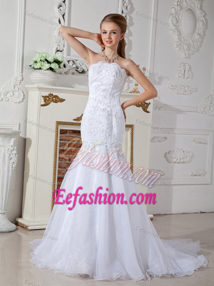 Special Mermaid Strapless Appliqued Organza Bridal Dress with Court Train