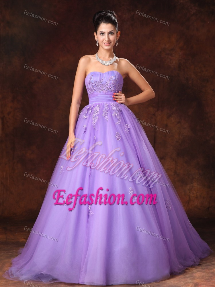 Lilac Sweetheart Tulle Senior Wedding Dress with Court Train on Promotion