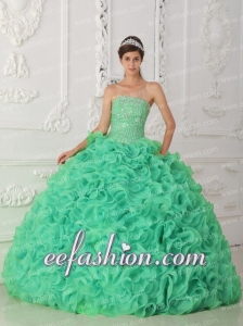 Green Strapless Organza New Style Quinceanera Dress with Beading