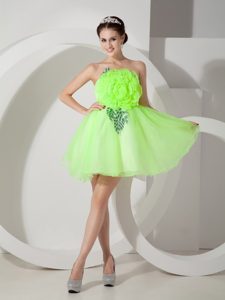 Unique Spring Green Strapless Short Celebrity Dress for Prom with Flower
