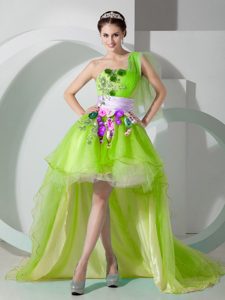 Cheap One Shoulder High Low Princess Junior Prom Dress in Yellow Green