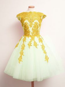 Attractive Multi-color Tulle Lace Up Scalloped Sleeveless Mini Length Wedding Party Dress Appliques