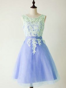 Lace Dama Dress for Quinceanera Light Blue Lace Up Sleeveless Knee Length
