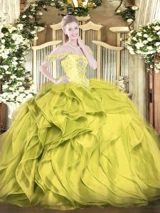 Ball Gowns 15 Quinceanera Dress Olive Green Off The Shoulder Organza Sleeveless Floor Length Lace Up