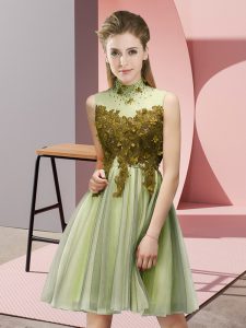 Discount Yellow Green Empire Appliques Damas Dress Lace Up Tulle Sleeveless Knee Length