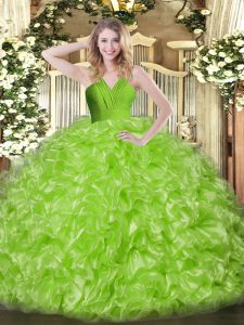 Organza Sleeveless Floor Length Quince Ball Gowns and Ruffles