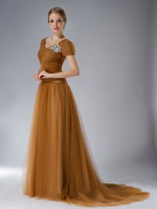 Short Sleeves Brush Train Brown Tulle Mother of Bride Dress with Appliques
