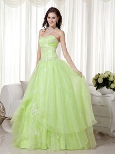 Green A-line Sweetheart Organza Beaded Prom Party Dress with Appliques on Sale