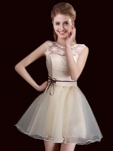 Champagne Scoop Lace Up Lace Dama Dress for Quinceanera Sleeveless