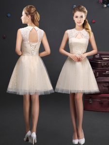 Champagne Tulle Lace Up Damas Dress Sleeveless Mini Length Lace and Appliques and Belt