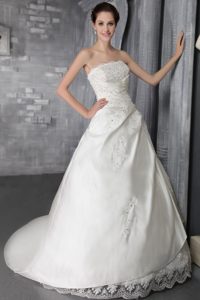 Magnificent Princess and Lace Fall Wedding Dress with Court Train