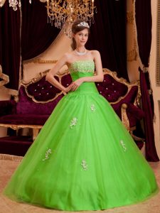 Pretty Green Strapless Tulle Quinceanera Dress with Appliques for Custom Made