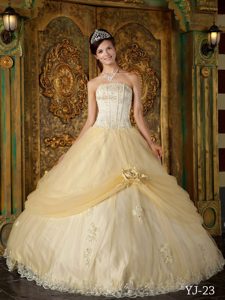 Beautiful Champagne Strapless Tulle Quinceanera Gown Dresses with Appliques