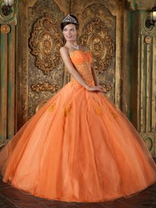 Romantic Sweetheart Long Organza Dress for Quinceanera in Orange