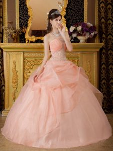 Exquisite Ruched and Beaded Lace-up Organza Quinceaneras Dress in Pink