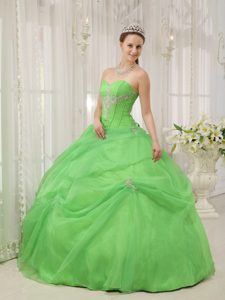 2013 Romantic Sweetheart Long Organza Spring Green Dress for Quince