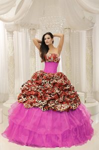 Fashionable Leopard Multi-colored Quinceanera Dress with Beading Pick-ups