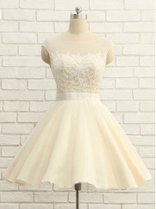 Dramatic Scoop Cap Sleeves Oscars Dresses Knee Length Lace Champagne Organza