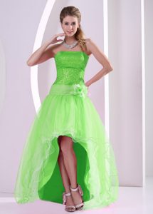 High-low Spring Green Semi-formal Prom Dresses with Sequins in Organza