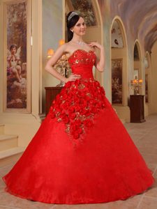 Red Sweetheart Organza Handle Flowers Quinceanera Dresses with Corset