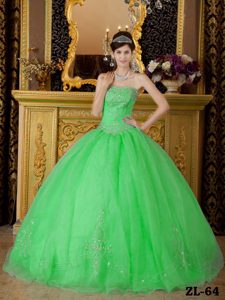 Spring Green Strapless Organza Beading 2013 Dresses for A Quinceanera