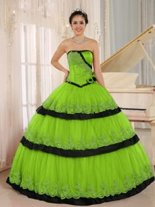 Spring Green and Black Flowers Custom Made for 2013 Quinceanera Dresses