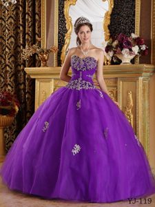 2013 Memorable Appliqued Tulle Lace-up Sweet 16 Dresses in Eggplant Purple