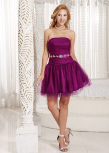 Impressive Purple A-line Lace-up Tulle Vintage Homecoming Dress for Spring