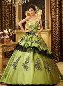 Great Olive Green Strapless Court Train Sweet 16 Dresses with Appliques