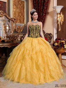 Pretty Colorful Sweetheart Organza Beaded Quinceanera Dress with Embroidery