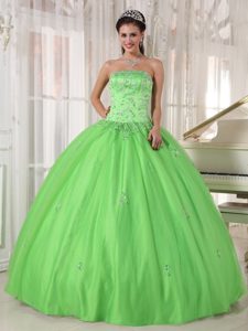 Ball Gown Floral Appliques Strapless Quinceanera Dresses in Spring Green