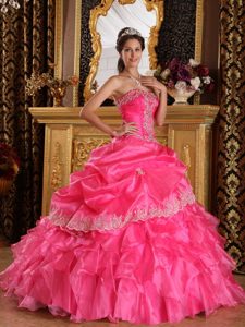 Layers Ruffled Strapless Applique Organza Full Length Dress 15 in Hot Pink
