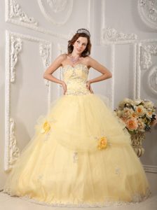 Applique Handmade Flowers Organza Light Yellow Chic Quinceanera Gown