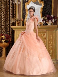 Light Pink Sassy One Shoulder Tulle Champagne Quinceanera Dress with Appliques