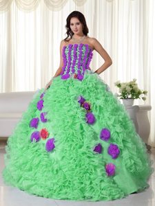 Righteous Green Ball Gown Strapless Organza Quince Dress with Colorful Flowers
