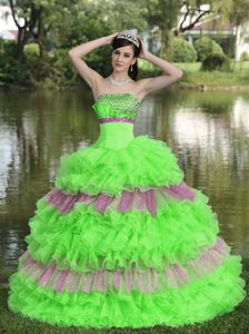 Beaded Multi-color Organza Strapless Graceful Quinceaneras Dresses with Sequins