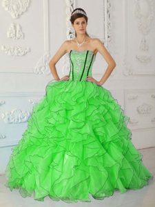 Special Ball Gown Organza Ruffled Dresses for Quince in Spring Green