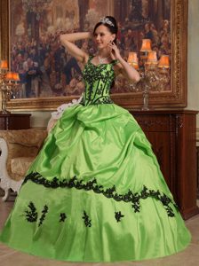 Spring Green Appliqued Dresses for Quince Best Seller Nowadays