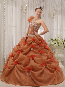One Shoulder Rust Red Organza Sweet 16 Dresses with Pick-ups and Appliques