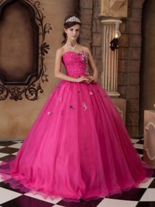Hot Pink Sweetheart Organza Quinceanera Dresses with Appliques and Beading